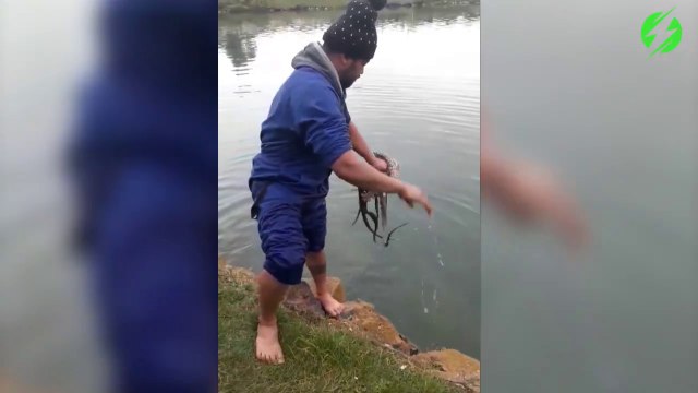 Il réussi à attraper un gros poulpe à mains nues