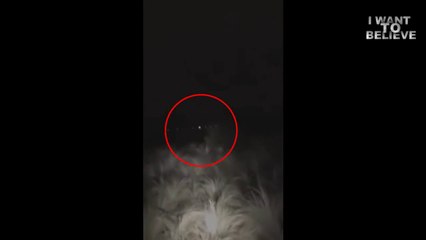 Аргентинский охранник пошёл по дымящимся следам и столкнулся со странным существом