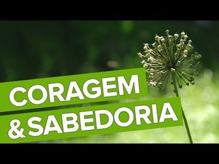 Coragem e Sabedoria para Hoje!