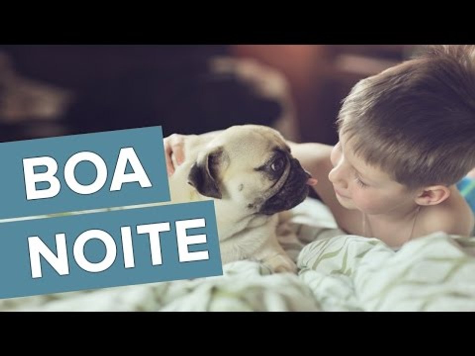 Boa noite a todos! :)