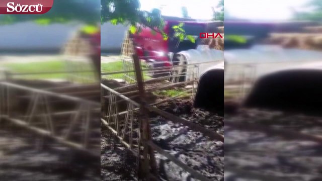 Kurbanlık ağır çeksin diye bunu da yaptılar