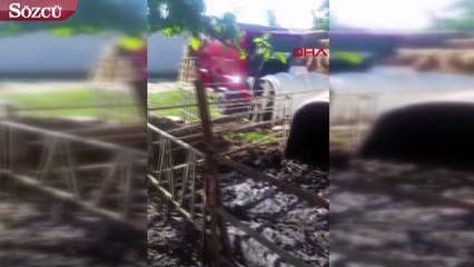 Kurbanlık ağır çeksin diye bunu da yaptılar