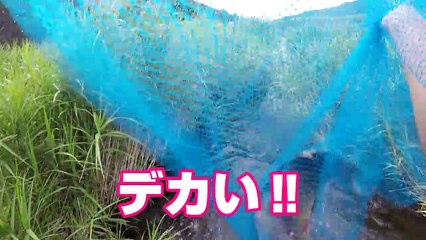 【神回・超ファインプレー】奇跡が起こった‼