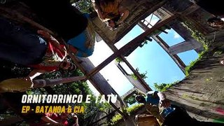 Batanga & Cia. - Ornitorrinco e tatu (teaser)