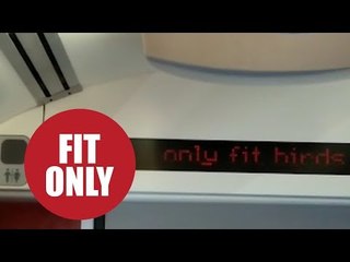 Rail bosses investigating after 'Only fit birds on this train' flashed across digital screens