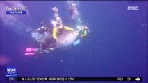 [이 시각 세계] '고래상어 학대' 다이버들 체포