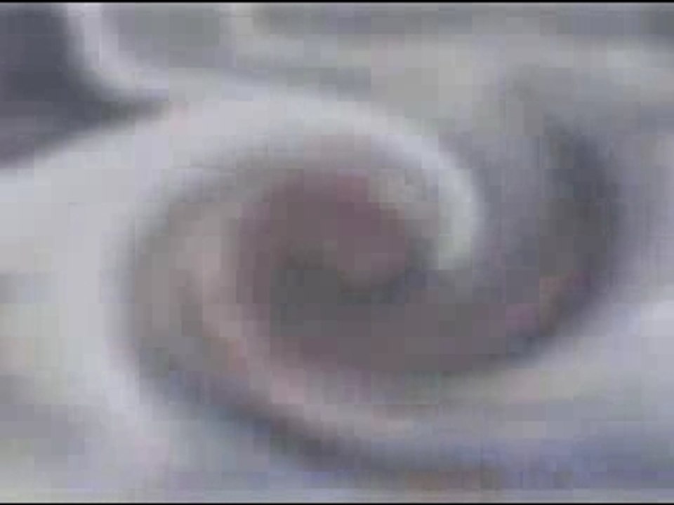 Mr.Pringle veut repeindre sa voiture