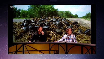 QI XL - N Series E14 - Numbers