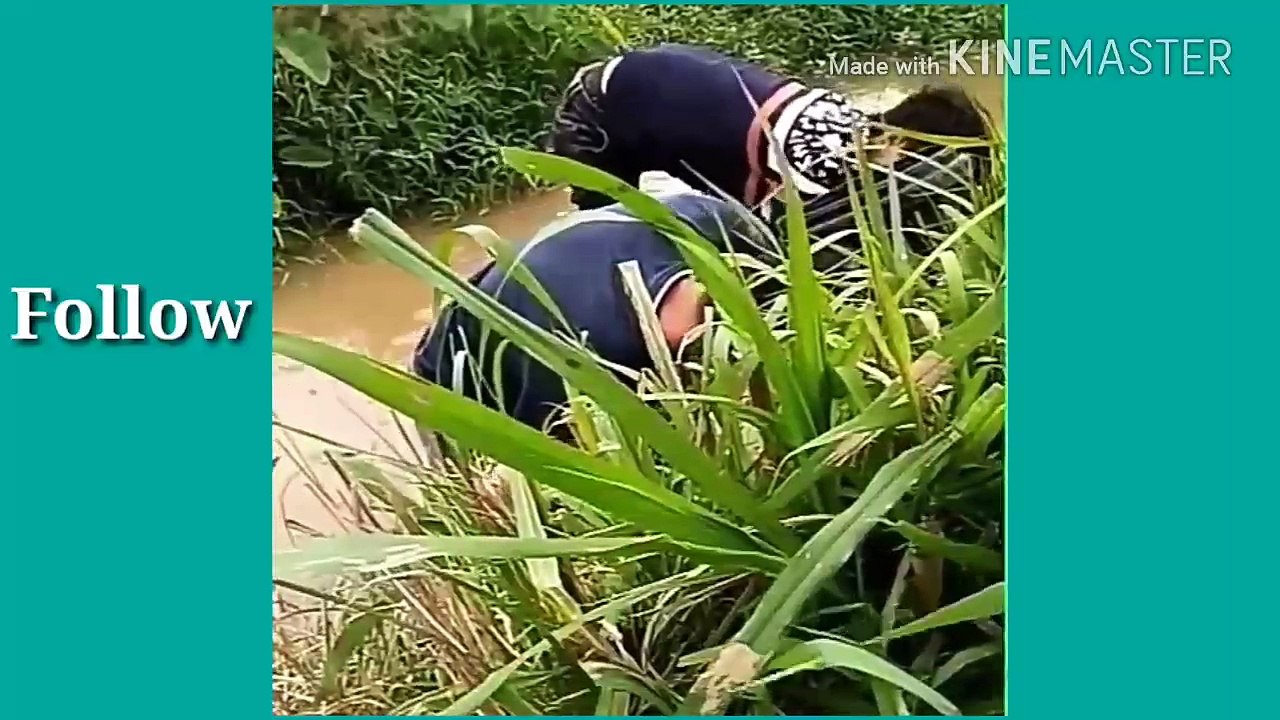 Funny video whatsapp.com , Funny.com