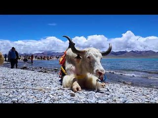 As paisagens exuberantes do lago Namtso