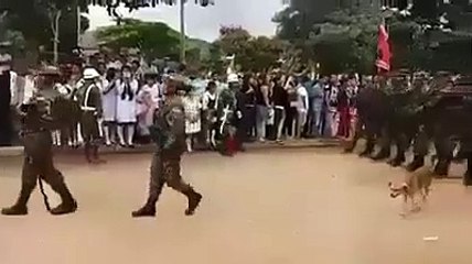 Funny Parade - Oops   Fail Videos , HD tv series comedy cinema cartoons Mvs 2018