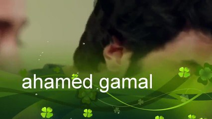 اغنية رومانسية حبيبتى يا كل حياتى عمر واليف
