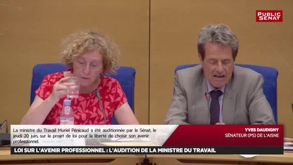 Avenir professionnel : Audition de Muriel Pénicaud + Séance Avenir professionnel - Les matins du Sénat (08/08/2018)