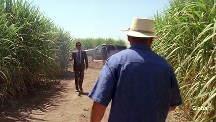 Cane - S1 E4 - Family Business