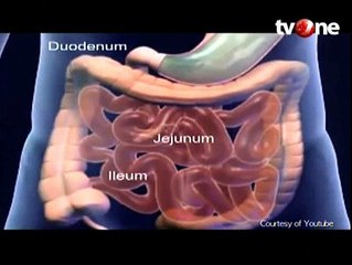 Manfaat Puasa Bagi Kesehatan