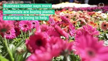 Startup Is Helping Millennials Raise Plants