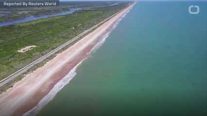 How Scientists Fight Florida's 'Red Tide'