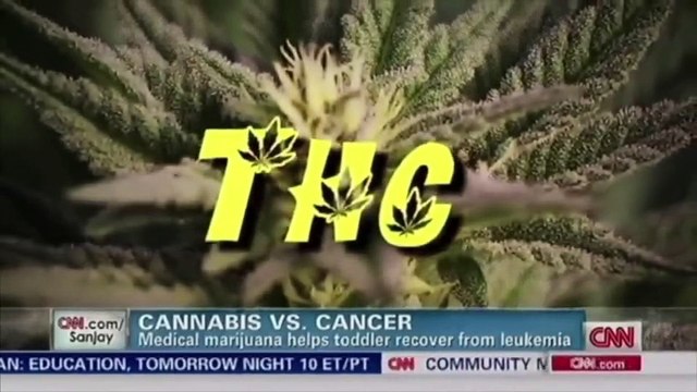 CBD Oil in Ireland - Benefits for the Irish