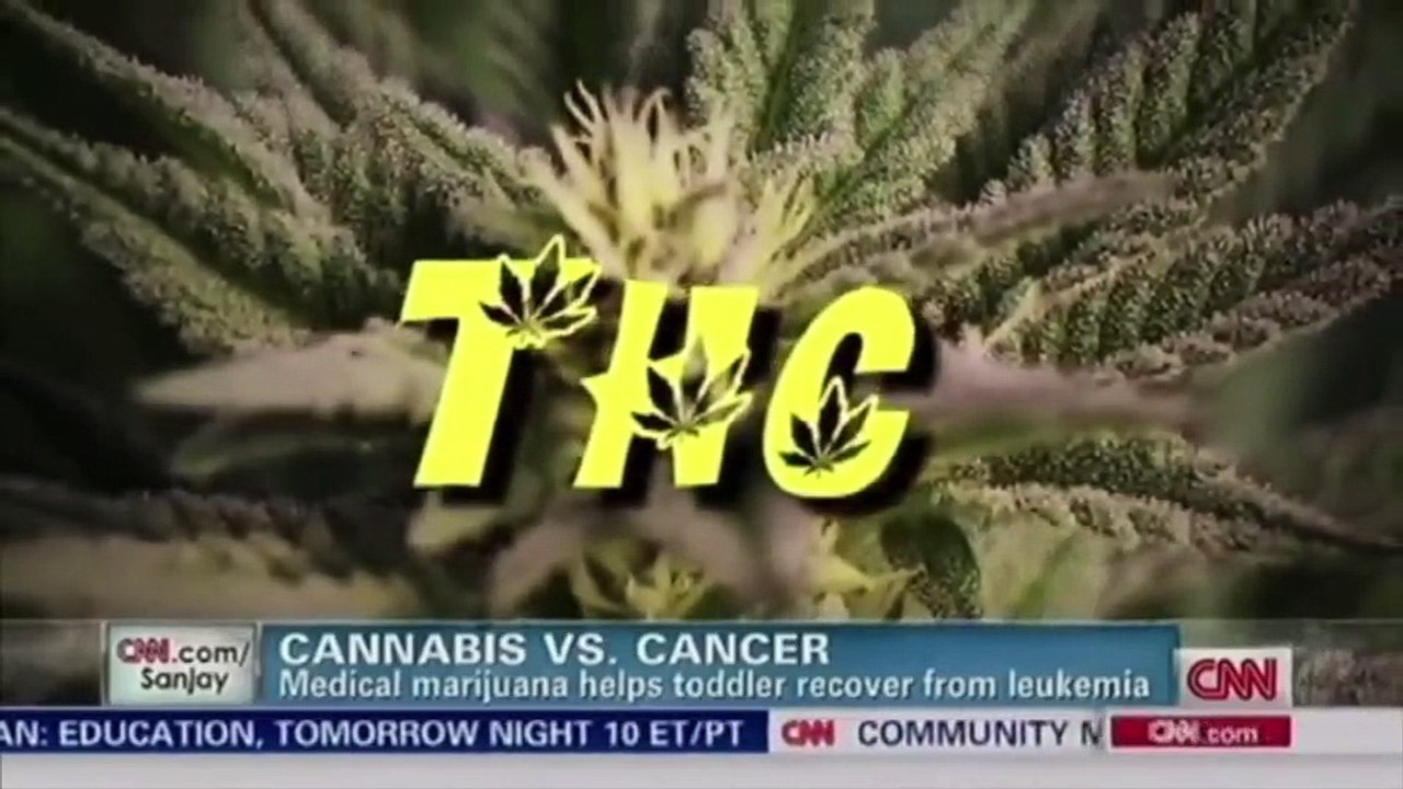 CBD Oil in Ireland - Benefits for the Irish