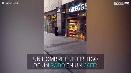 Robo estrella: Gaviota roba papas fritas en cafetería