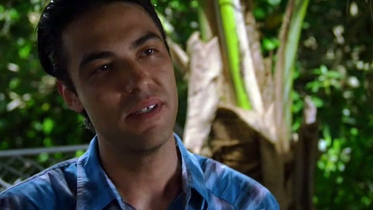 The Glades S1 E9 Honey video Dailymotion