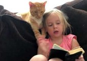 Girl Reads Her Own Version of the Bible to Her Very Patient Kitty