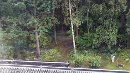 Aug 10 2018 DL2