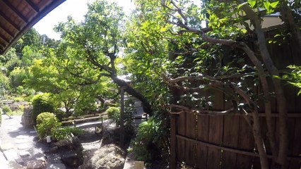 요지야 카페 긴카쿠지점 1｜Yojiya Cafe Ginkakuji Shop 1｜よーじやカフェ 銀閣寺店 1