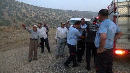 Midyat'ta korkutan orman yangını