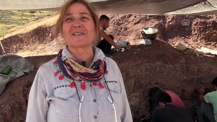 'Omurgalı Fosil Lokalitesi'nden bu yıl 140 fosil çıktı - ÇANKIRI