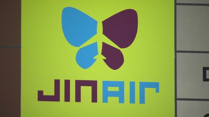 '조현민 불법 등기' 진에어 면허취소 위기 모면 / YTN