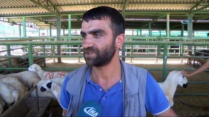 Malatya Hayvan Pazarında bayram hareketliliği
