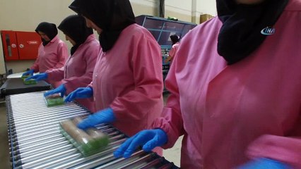 Çinlilerden Aydın incirine yakın markaj... Amerika'ya tepki için incir ihracatı Türk ve Çin parası üzerinden yapılacak