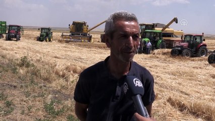 Ekmek parası uğruna 28 senedir Muş Ovası'nın yolunu tutuyor - MUŞ