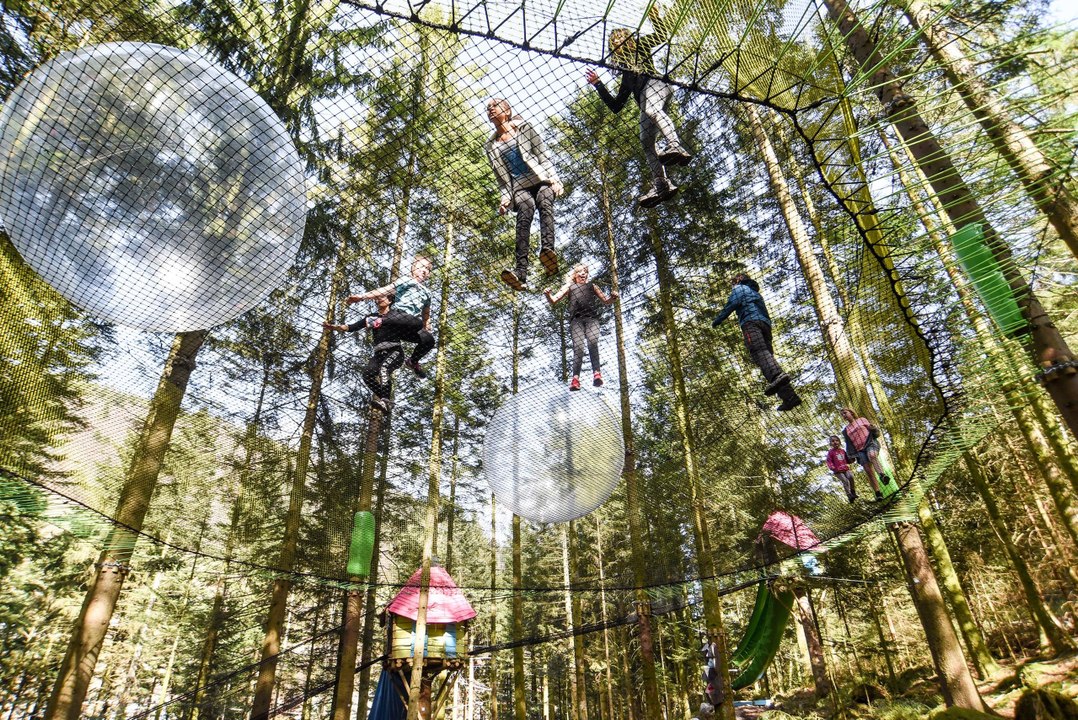 VERSANT MONTAGNE : Le bois des lutins