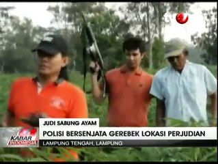 Ditangkap Polisi, Kakek Pejudi Sabung Ayam Menangis