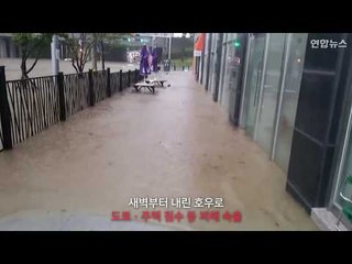 [현장영상] 부산 시간당 116㎜ 물폭탄…차량 수십대 침수