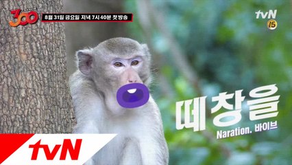 떼창러만 2400명...실화냐!?