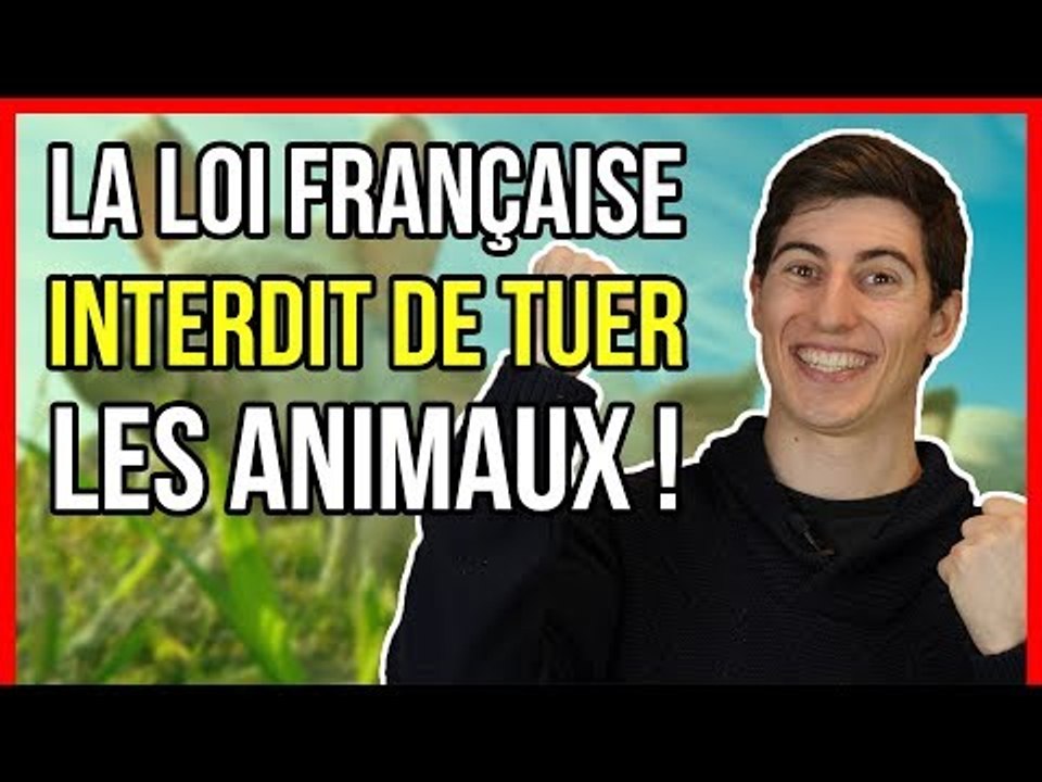LA LOI FRANÇAISE INTERDIT DE TUER LES ANIMAUX !