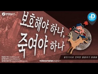 보호해야 하나, 죽여야 하나 골칫거리로 전락한 멸종위기 동물들