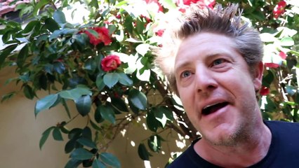 WE TIED HIM TO THE BACK OF OUR TRUCK!!