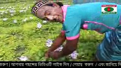 ভাদাইমার বউ মালা গেথে অপেক্ষা করে আর ভাদাইমা মজা করে অন্য মাইয়ার সাথে..হায়রে  ভাদাইমা