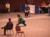 Wushu - Kung Fu - Mantis Style