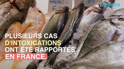 Poisson cru : plusieurs personnes intoxiquées