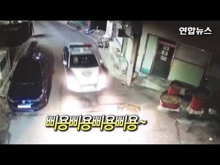 한밤중 과일상자 실어 나르는 남자…CCTV로 추적했더니