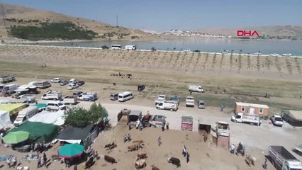 Van Van'da Veterinerlerden 'Kurbanlık Timi' Kuruldu Hd