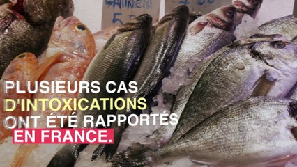 Plusieurs personnes contaminées par un parasite après avoir mangé du poisson cru