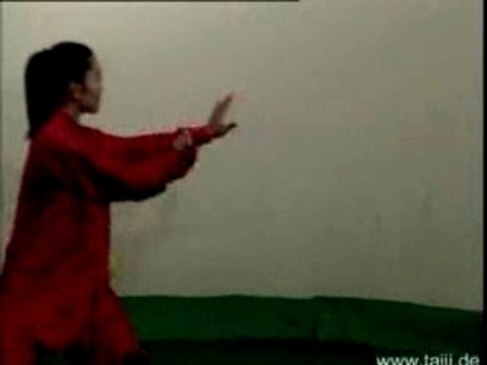 Wushu - Shaolin Kung-Fu - Tai-Chi Quan - 48-Form