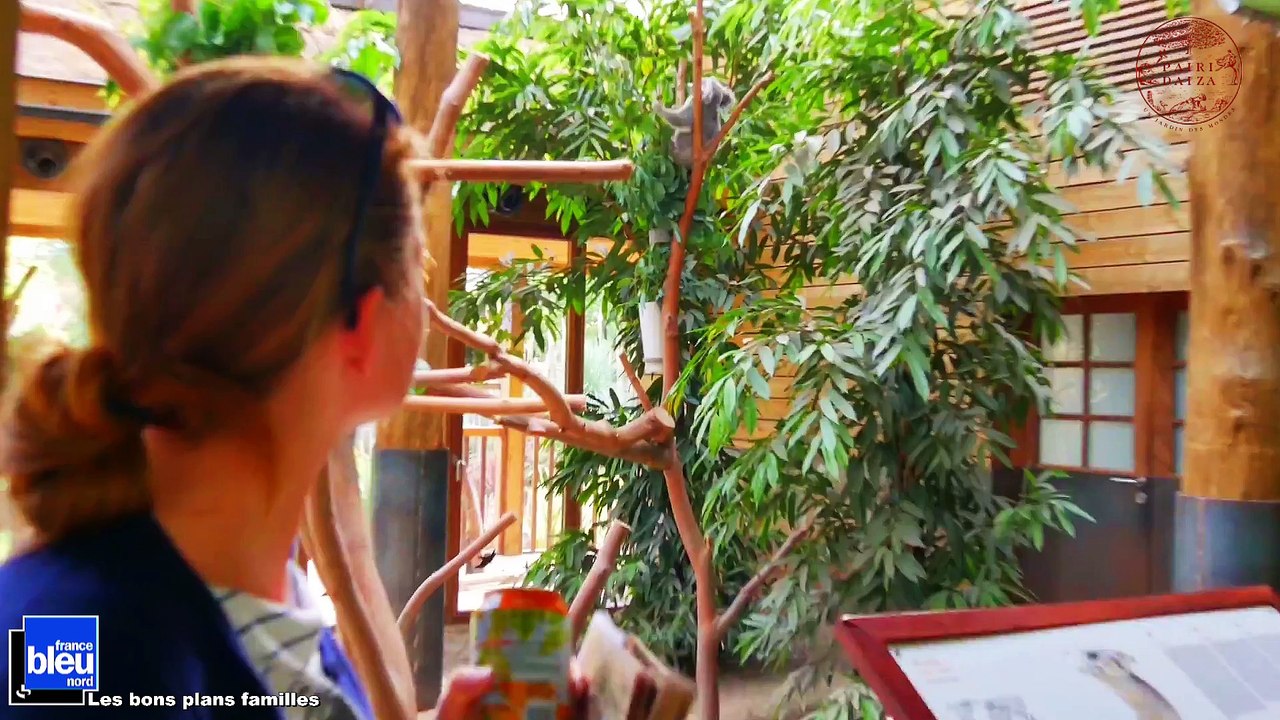 Pairi Daiza  : le parc animalier en Belgique