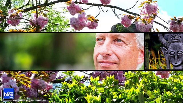 Pairi Daiza : le parc animalier en Belgique